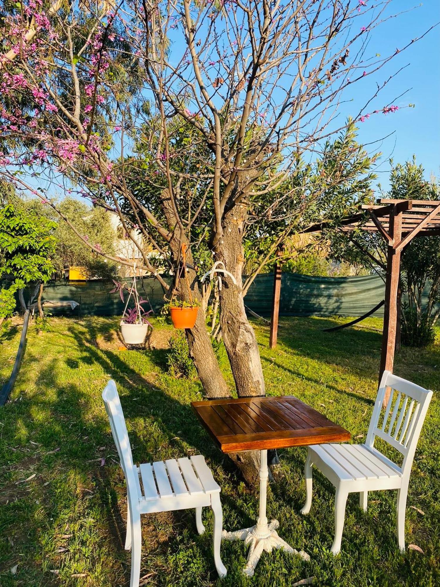 Apartamento Cirali Marina Loft Exterior foto